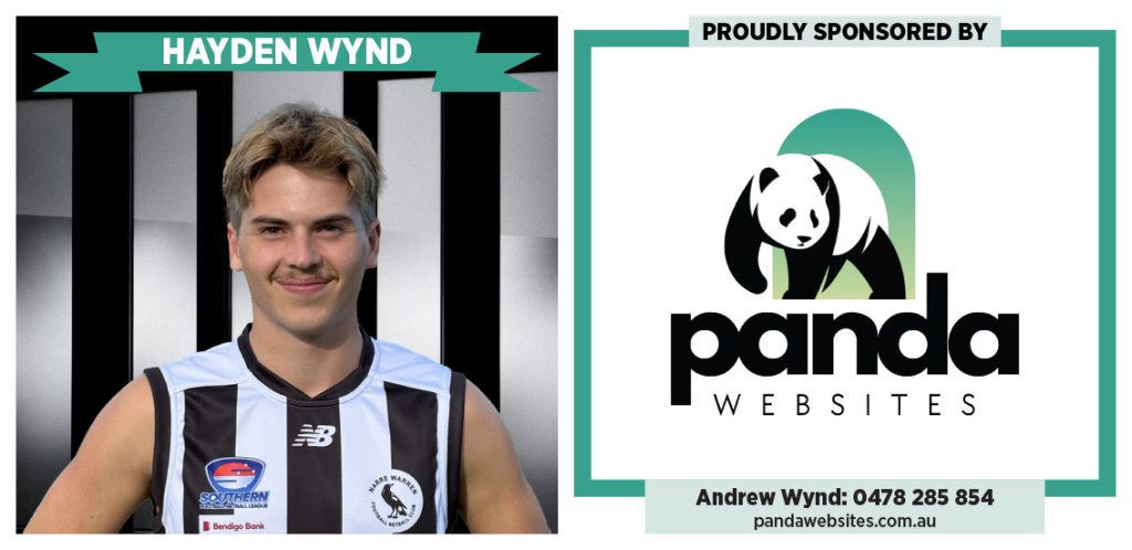 Hayden Wynd Panda Websites